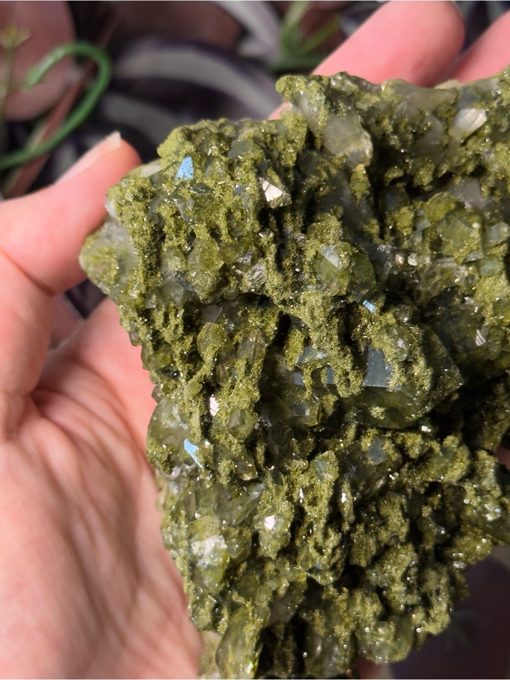 Fairy Forest Quartz (Epidote + Quartz) - Picture 10 of 10